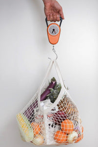 Reusable Grocery Shopping Bag 2 Regular and 2 Long handles